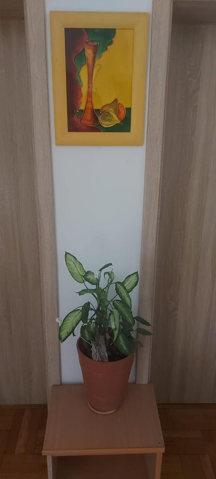 Hostel Познан Екстериор снимка
